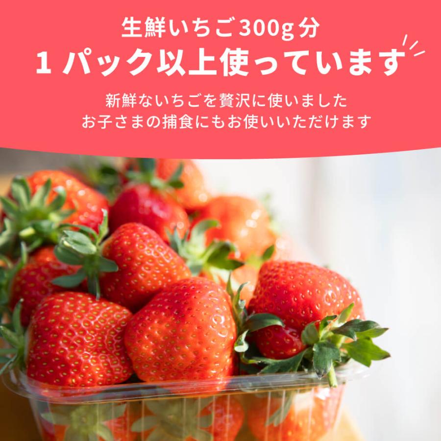 ドライフルーツ いちご 苺 1パック 赤ちゃん 子どものおやつ 無添加 9