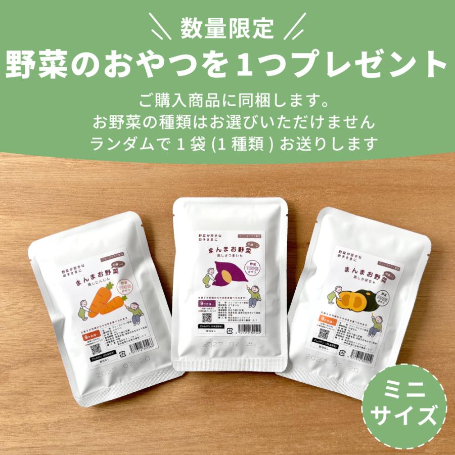 ドライフルーツ マンゴー 1パック 赤ちゃん 子どものおやつ 無添加 9