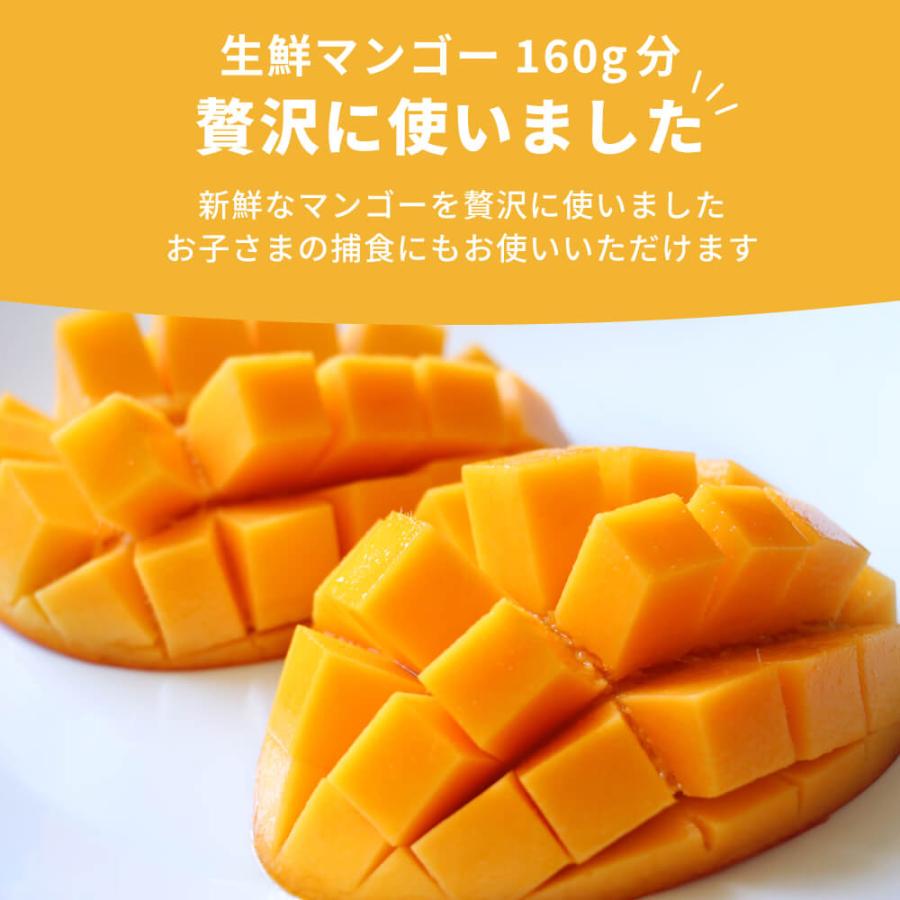 ドライフルーツ マンゴー 1パック 赤ちゃん 子どものおやつ 無添加 9