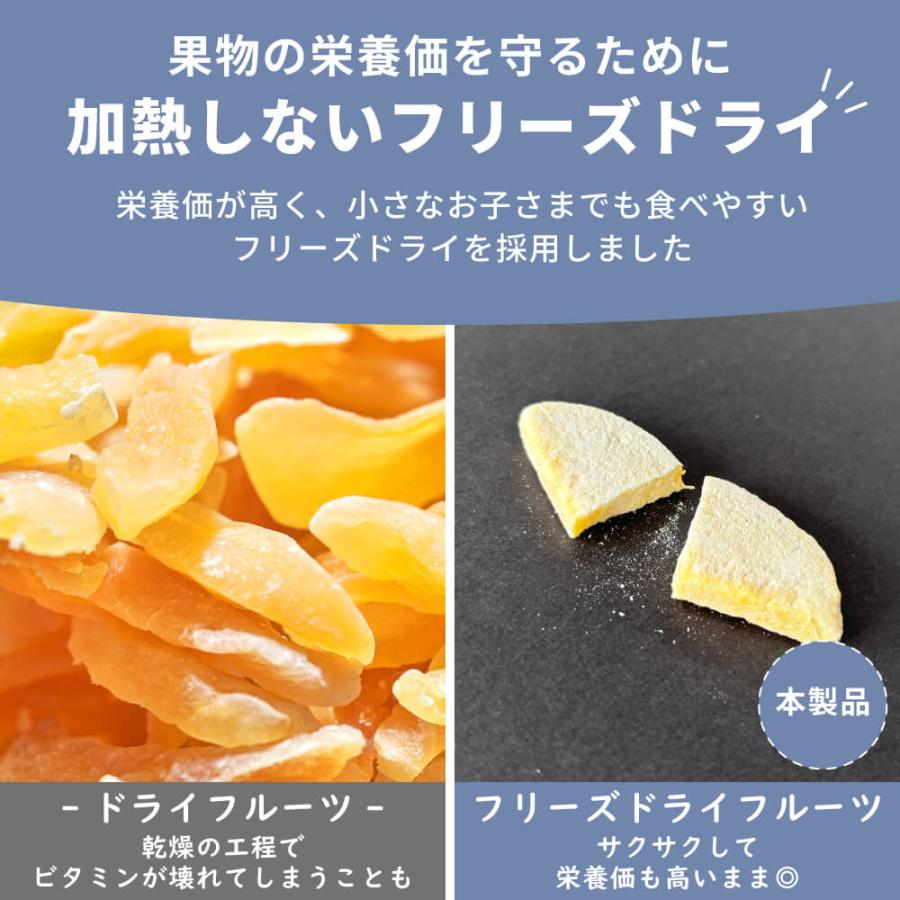 ドライフルーツ マンゴー 1パック 赤ちゃん 子どものおやつ 無添加 9