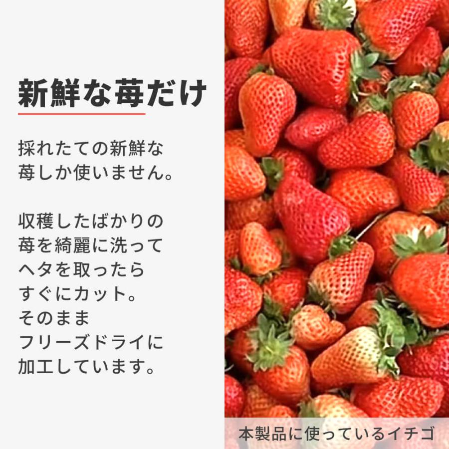 砂糖不使用】ドライフルーツ いちご 苺 50g ダイスカット 6mm 大容量