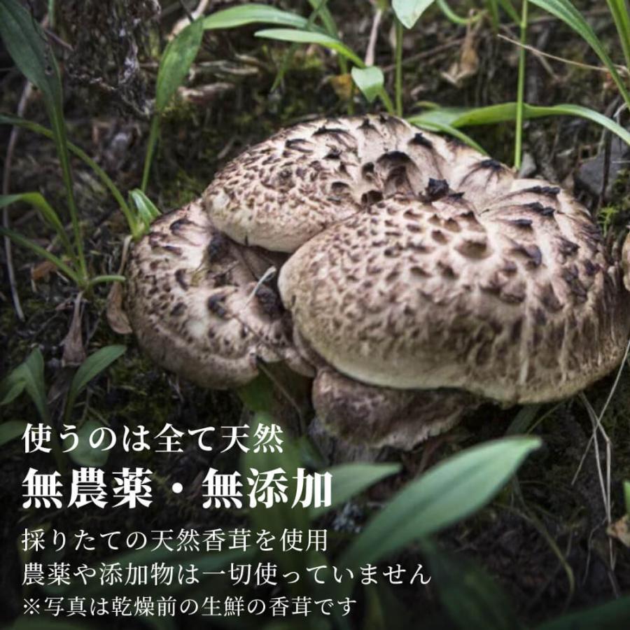 限定5個！18日採取 香茸（夏物）・B品 300g