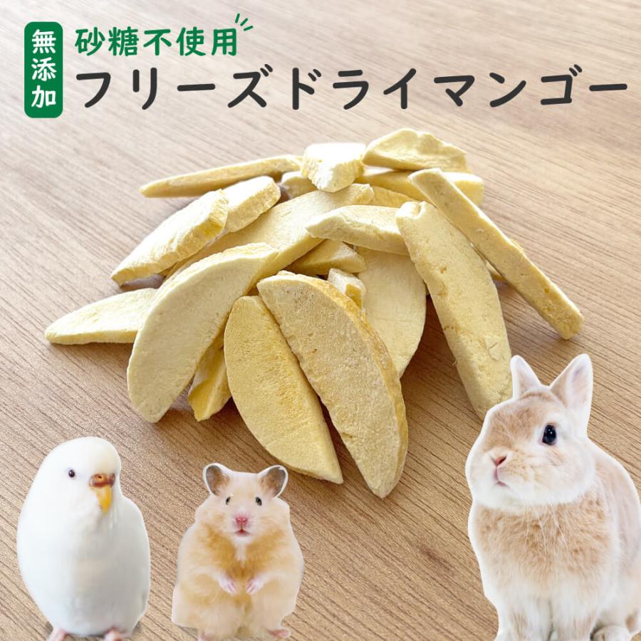砂糖不使用】小動物用フリーズドライマンゴー 20g 1袋約35枚入り