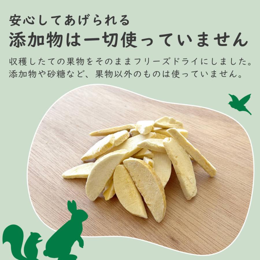 小動物用の乾燥おやつ　お好きな野菜果物でお作りします 砂糖不使用】小動物用フリーズドライマンゴー 20g 1袋約35枚入り