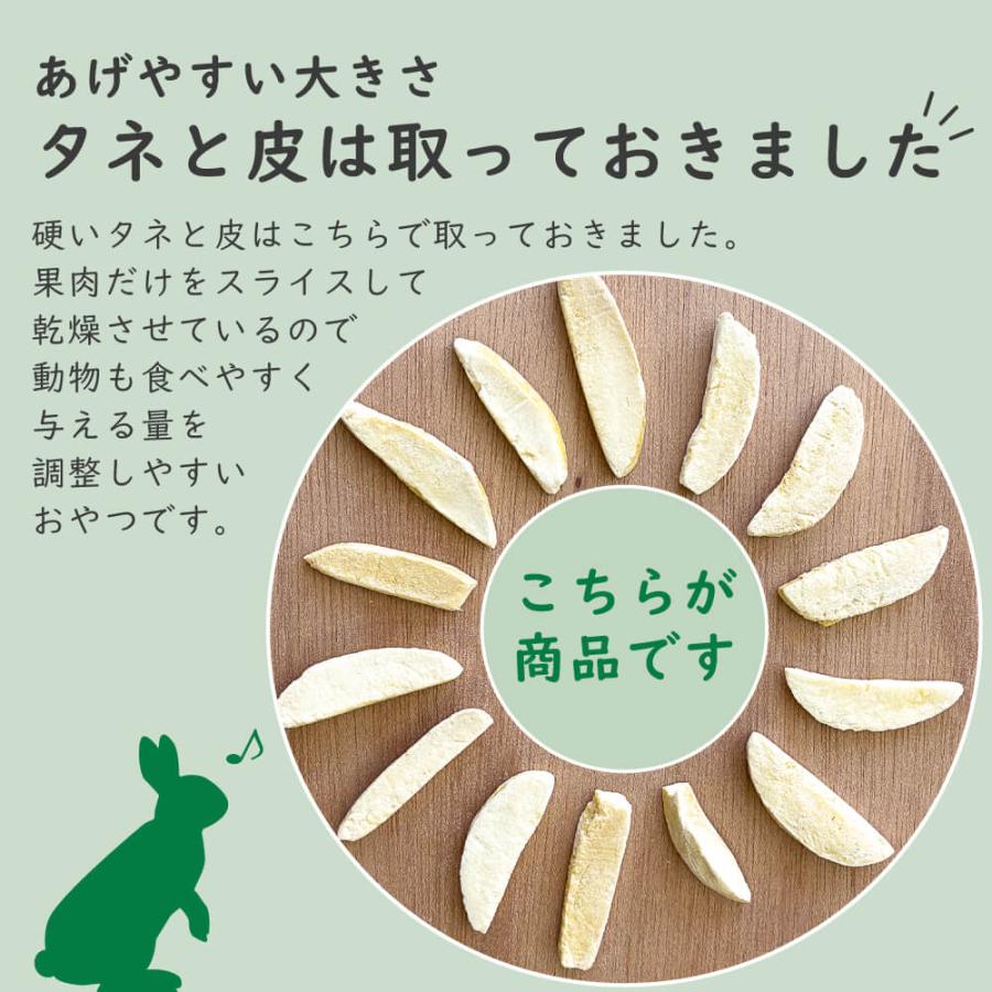 砂糖不使用】小動物用フリーズドライマンゴー 20g 1袋約35枚入り