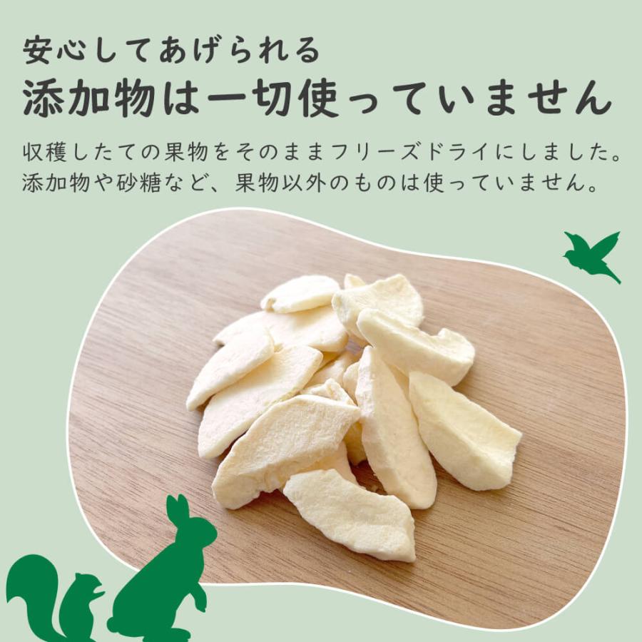 砂糖不使用】小動物用フリーズドライりんご 20g 1袋約16枚入り
