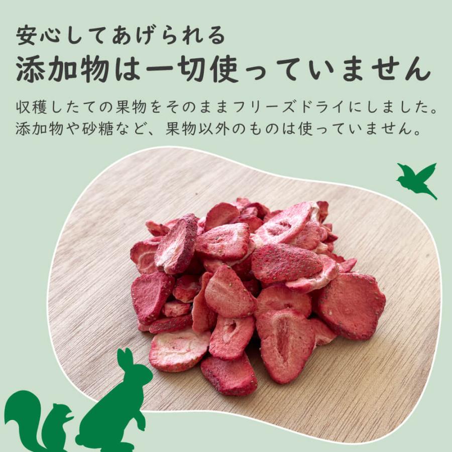 選べる3袋】小動物用フリーズドライフルーツ いちご りんご マンゴー