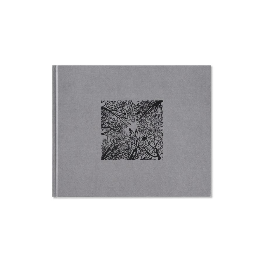 SETTLEMENTS by David Spero : 奈良 蔦屋書店ヤフー店 - 通販 - Yahoo