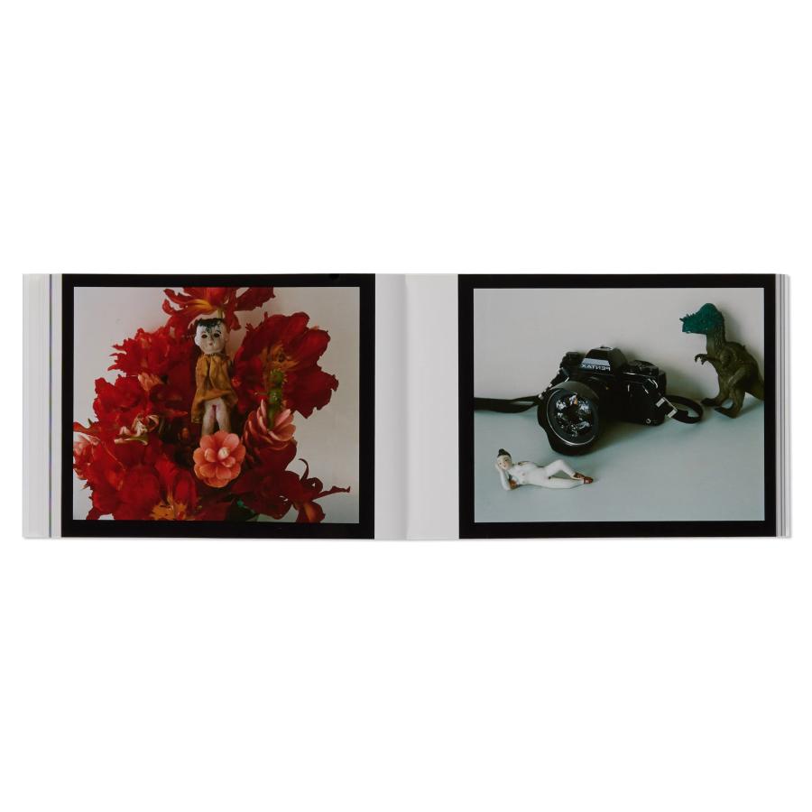 荒木経惟 KAORI THROUGH THE LOOKING GLASS by Nobuyoshi Araki : 奈良