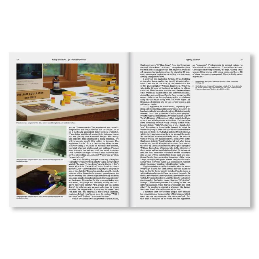 THE LAST DAYS by William Eggleston |  | 02