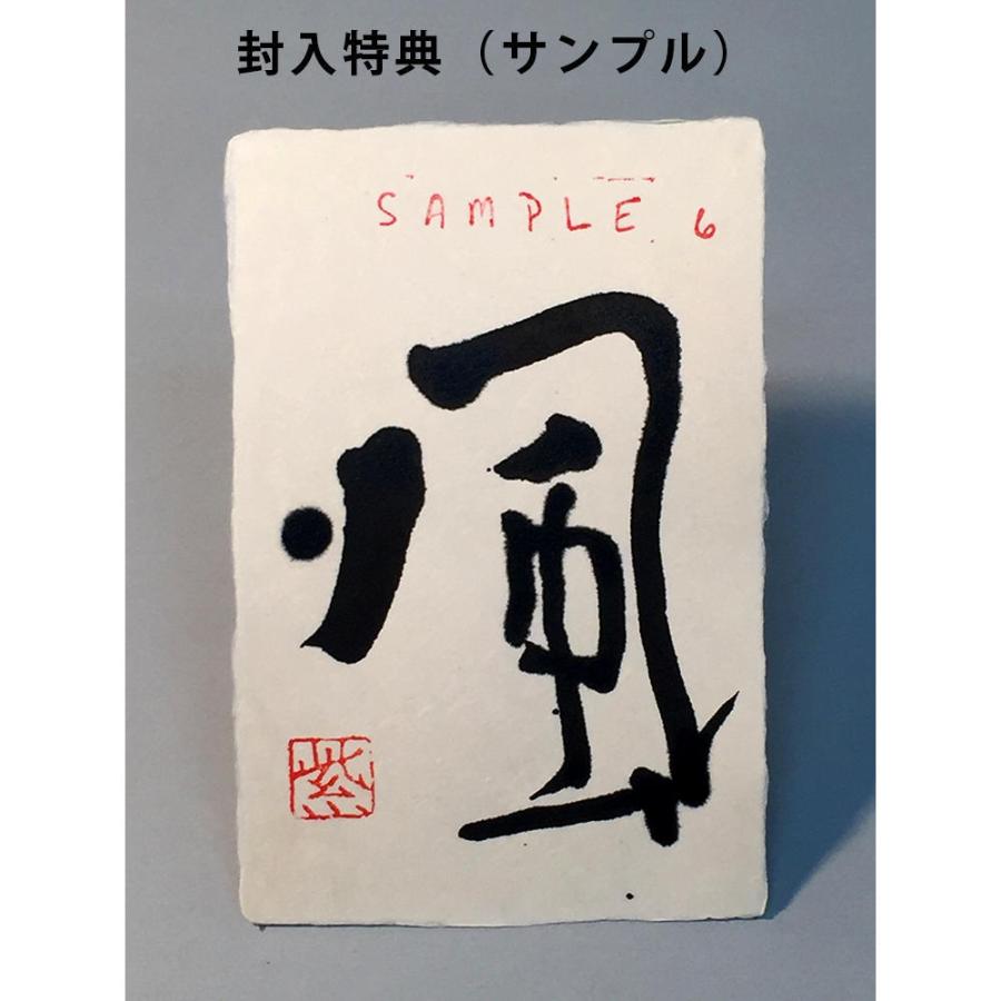 紫舟作品集「創」 : 奈良 蔦屋書店ヤフー店 - 通販 - Yahoo!ショッピング