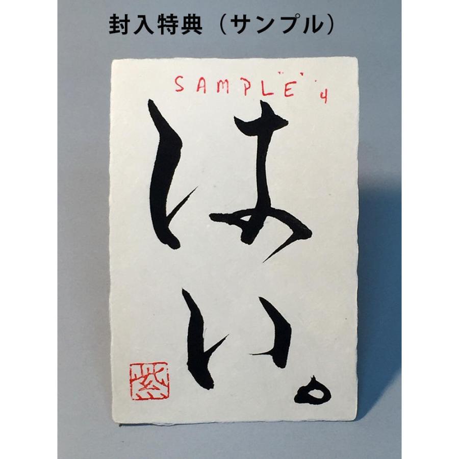 紫舟作品集「創」 : 奈良 蔦屋書店ヤフー店 - 通販 - Yahoo!ショッピング