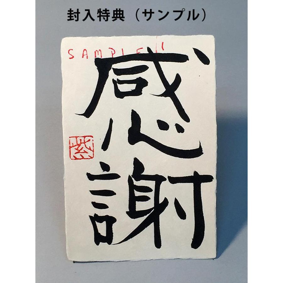紫舟作品集「創」 : 奈良 蔦屋書店ヤフー店 - 通販 - Yahoo!ショッピング