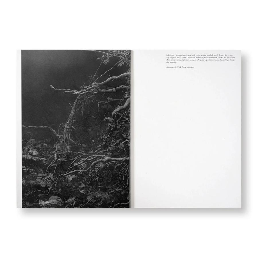 THE INHABITANTS by Raymond Meeks, George Weld [ENGLISH EDITION / SIGNED]の画像