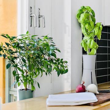 水耕栽培キット ボタニアム : 奈良 蔦屋書店ヤフー店 - 通販 - Yahoo