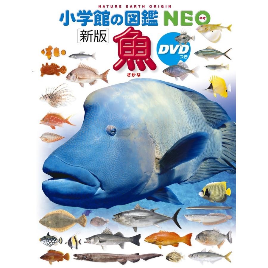 小学館の図鑑NEO〔新版〕 魚 DVDつき｜nara-tsutayabooks