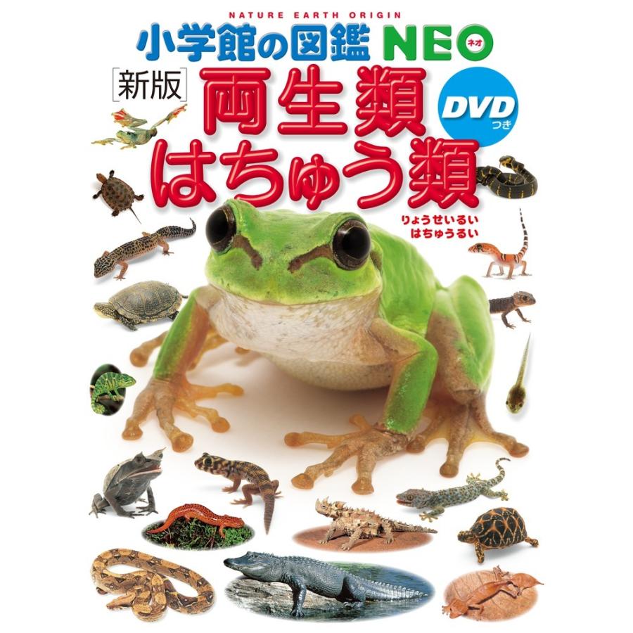 小学館の図鑑NEO〔新版〕 両生類・はちゅう類 DVDつき｜nara-tsutayabooks