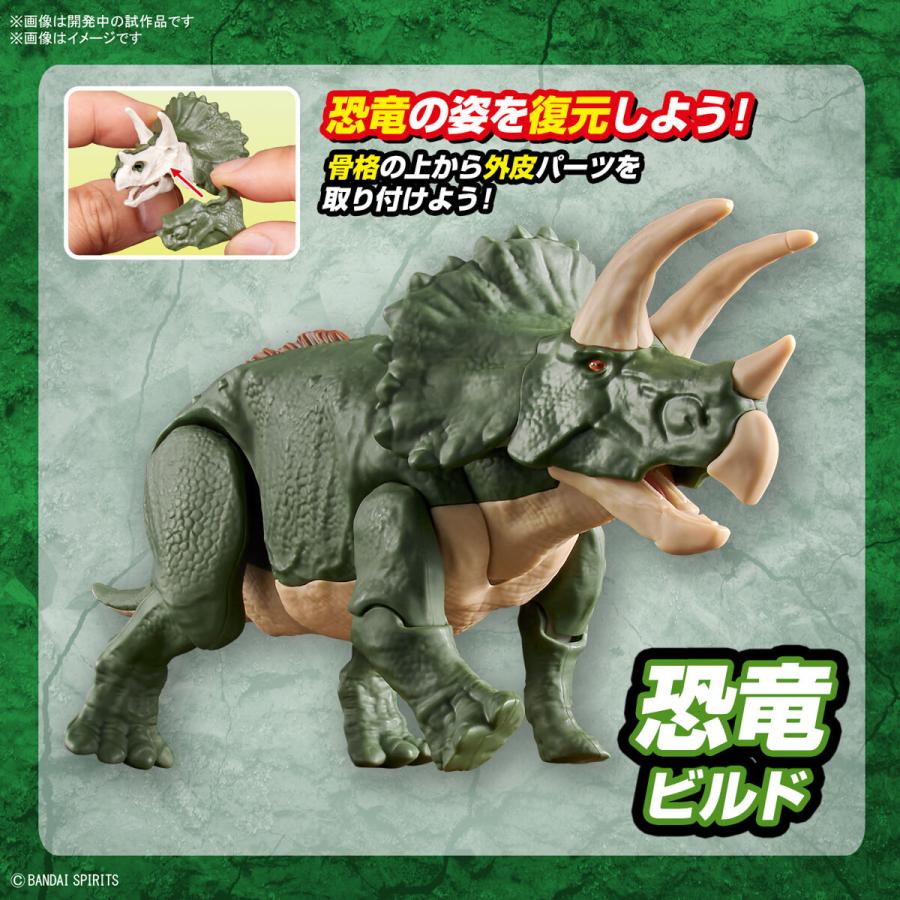 BANDAI（バンダイ） トリケラトプス プラノサウルス プラモデル : 奈良