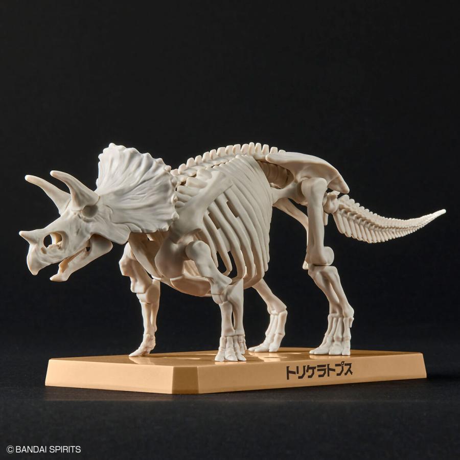 BANDAI（バンダイ） トリケラトプス プラノサウルス プラモデル : 奈良