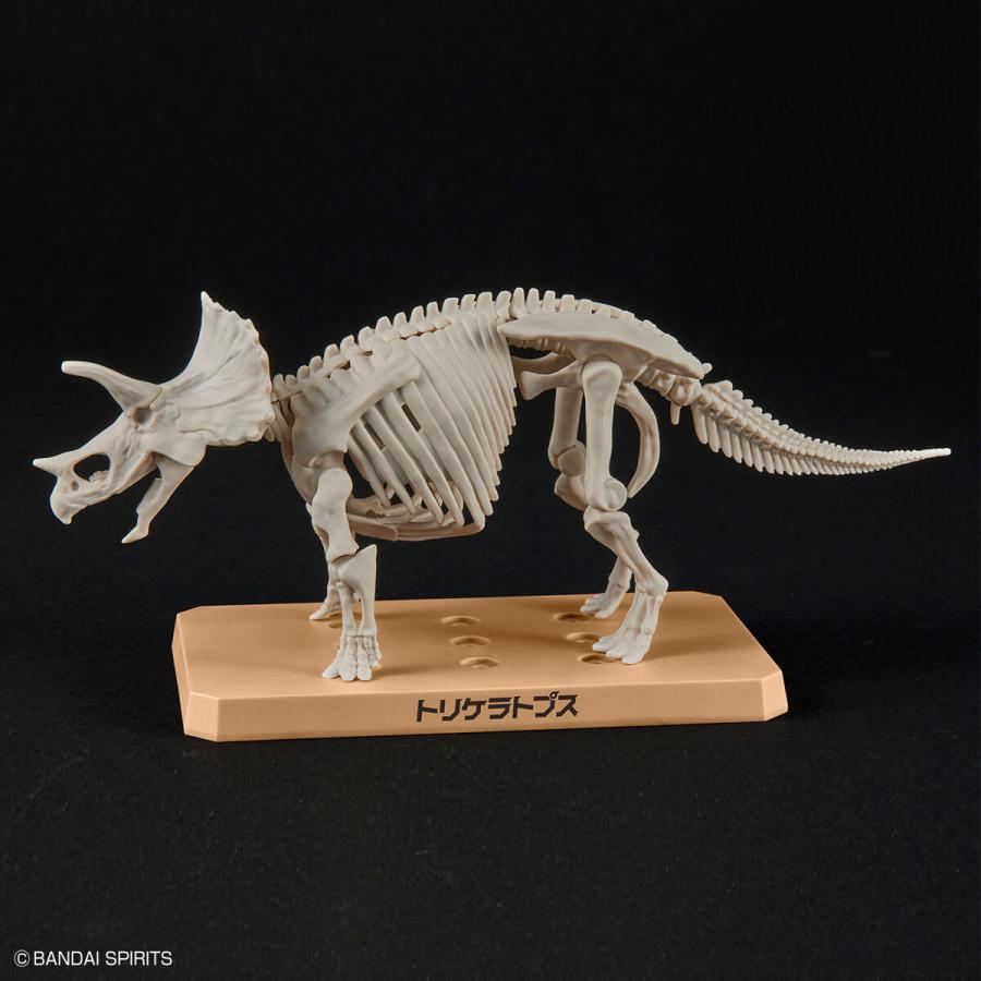 BANDAI（バンダイ） トリケラトプス プラノサウルス プラモデル : 奈良