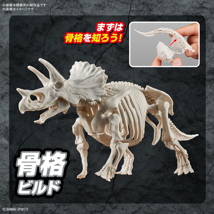 BANDAI（バンダイ） トリケラトプス プラノサウルス プラモデル : 奈良