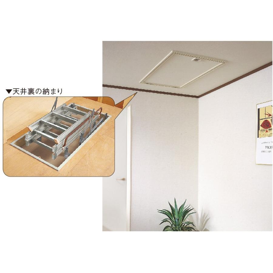 DAIKEN スライドタラップ 天井収納用はしご CQ0336-2 36型アルミ 9尺用 小屋裏収納 大建 | ブランド登録なし | 03
