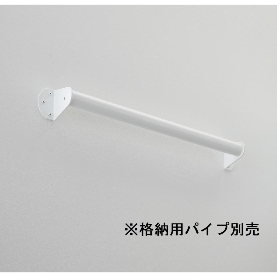 DAIKEN ロフトタラップ CQ0410-2W ホワイト 8尺用（2400mm） 10段