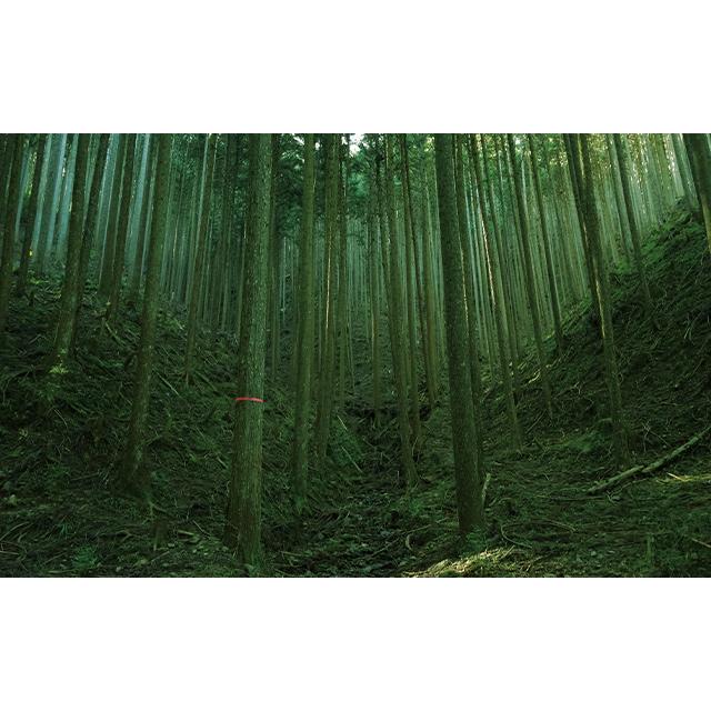 吉野杉コブあり 夢咲花 木製ボールペン cobcob 吉野杉 オパール 奈良県 希少コブ