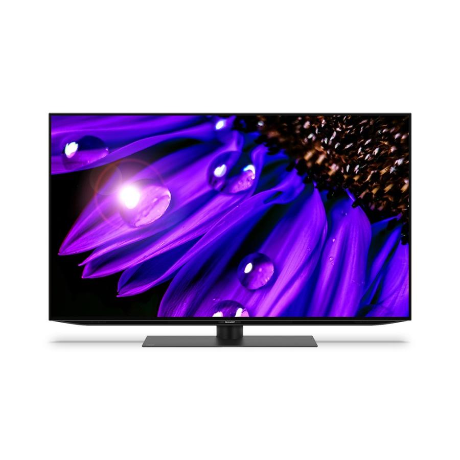 SHARP（シャープ） テレビ 4K有機ELテレビ 4T-C48EQ2 48V型 : ならのき