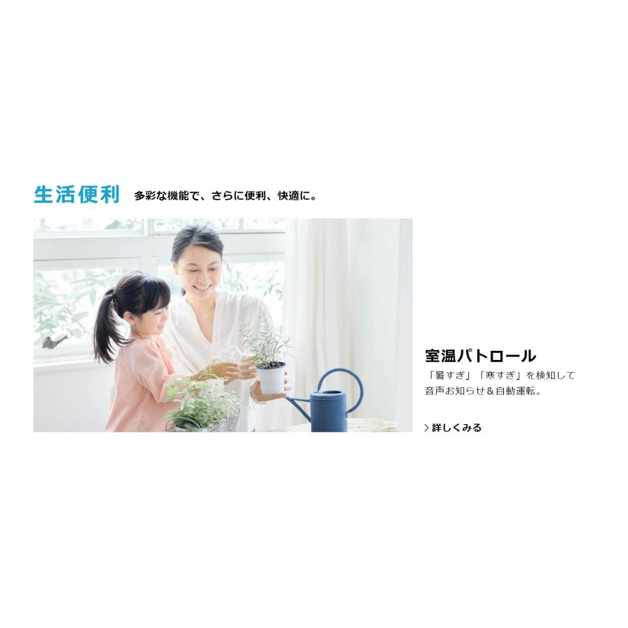 ダイキン（DAIKIN） ルームエアコン S224ATES-W 6畳用 ホワイト E