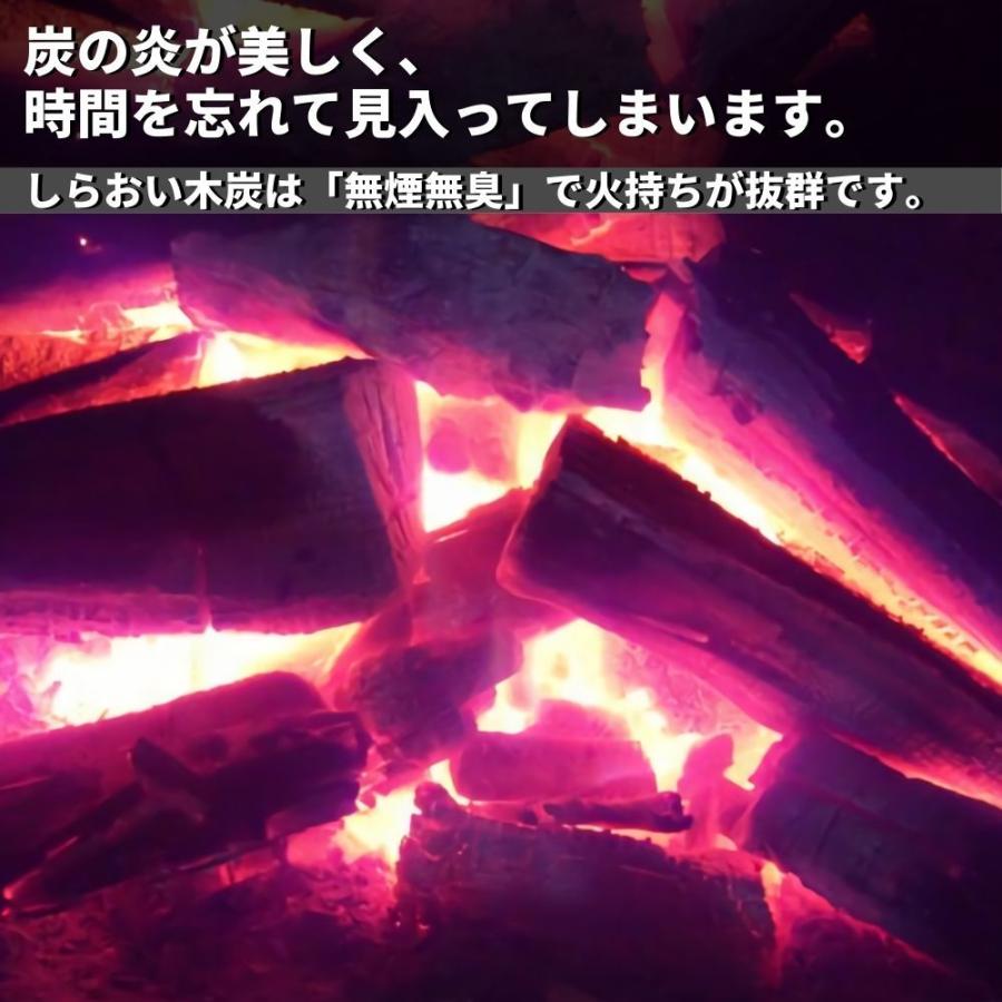 黒炭 木炭 しらおい木炭 15kg（イタヤ バラ炭）北海道産 備長炭の