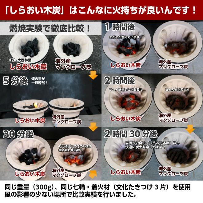 しらおい木炭6kg（バラ炭） 黒炭 炭 国産 北海道産 木炭 6キロ 楢