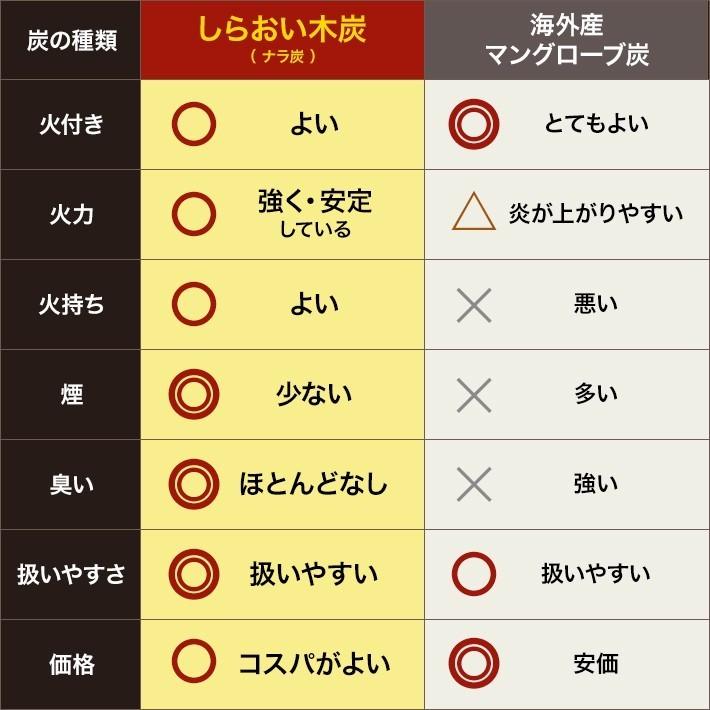 炭 しらおい木炭10kg（ナラ・バラ炭）×2個セット 国産 北海道産 楢炭