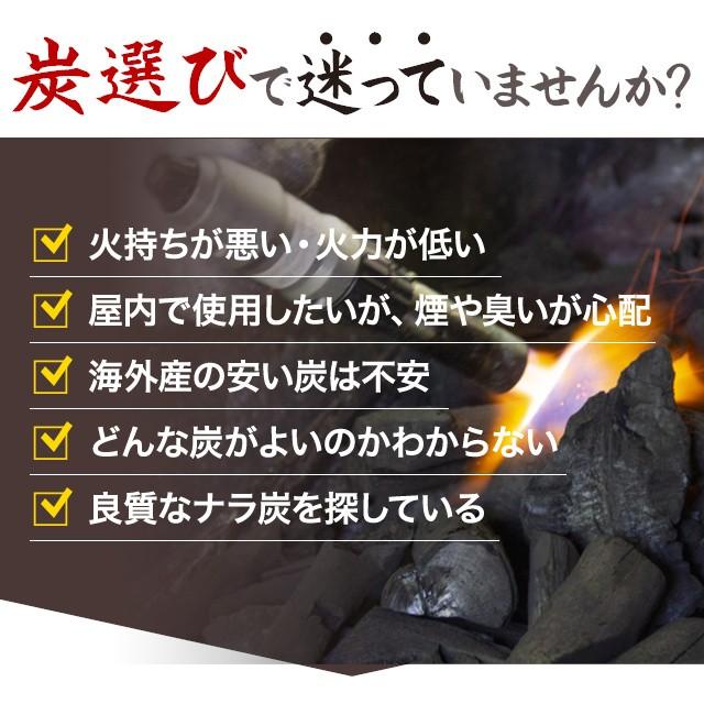 黒炭 炭 しらおい木炭 15kg（楢・バラ炭） 徳用 国産 北海道産 楢炭