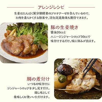 自宅用 ハニージンジャーシロップ 6本入 無着色 お取り寄せ 生姜 はちみつ 温活 冷え性 しょうが湯 洋菓子工房Ub_5
