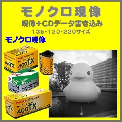 富士フイルム Xシステム モノクロフィルム モノクロ現像+CD 富士フイルム Xシステム モノクロフィルム モノクロ現像+CD