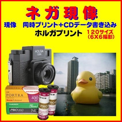 Lomography ネガフィルム HOLGA ブローニーフィルム ネガ現像 