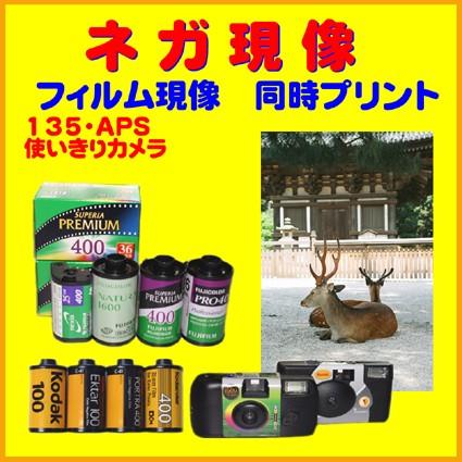 ネガフィルム ネガ現像 同時プリント 36枚撮り ｆｕｊｉ Kodak 他 使い切りカメラ 1本から受付 Np 35 奈良写真現像屋ヤフー店 通販 Yahoo ショッピング