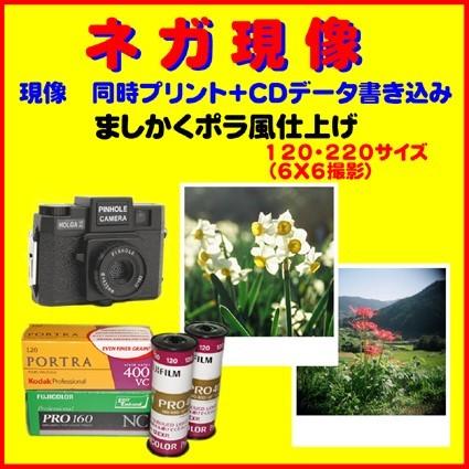 ネガフィルム ブローニー ネガ現像 同時 ましかくポラ風プリント ｆｕｊｉ Kodak1本から受付 P P Cd 奈良写真現像屋ヤフー店 通販 Yahoo ショッピング