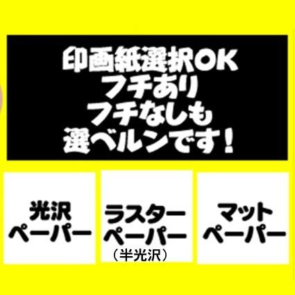 ネガフィルム　トイカメラ　ネガ現像　同時プリント＋ＣＤデータ書き込み　ＦＵＪＩ　Kodak　1本から受付｜naraphotoclub｜02