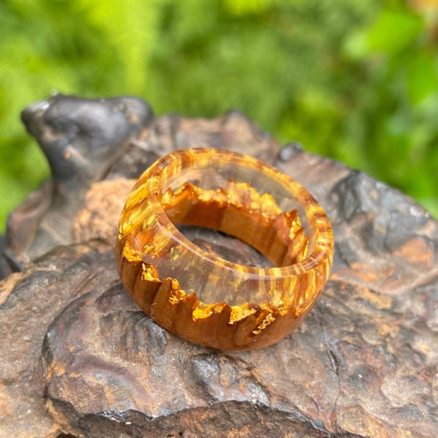 春日大社境内の杉ウッドレジンリング |  | 03