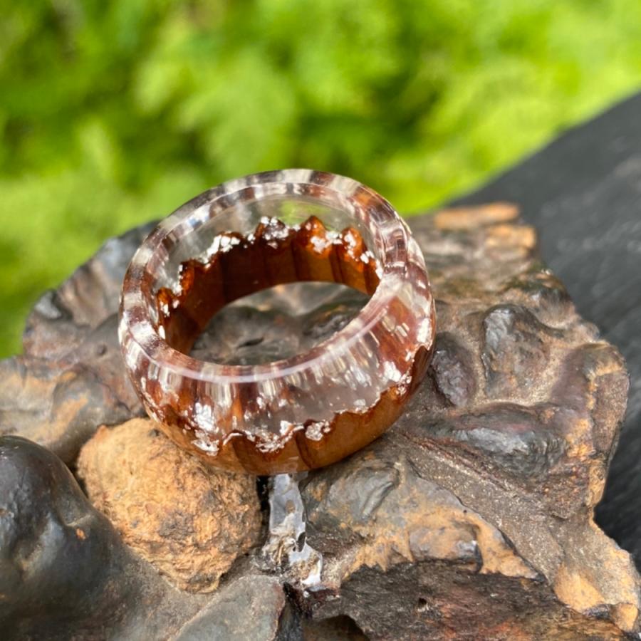 春日大社境内の杉ウッドレジンリング |  | 06