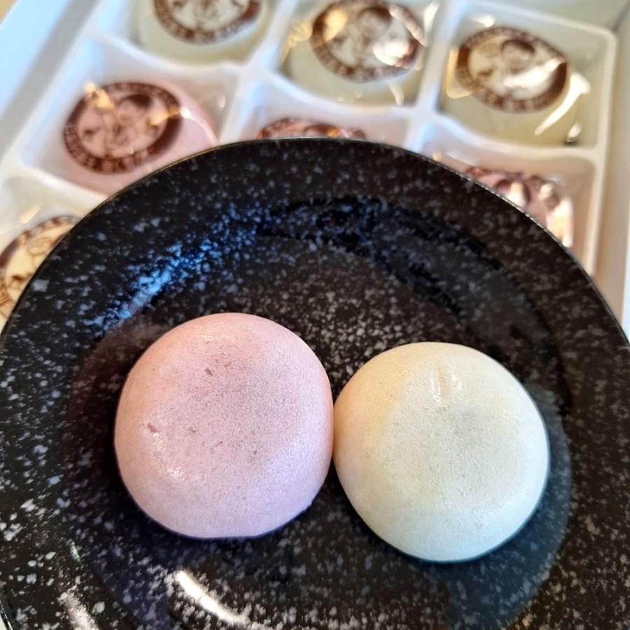 高市早苗 総理大臣 さなえちゃん 紅白まんじゅう 12個入（個装