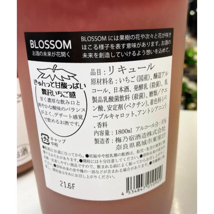 いちごのリキュール》梅乃宿BLOSSOM STRAWBERRY