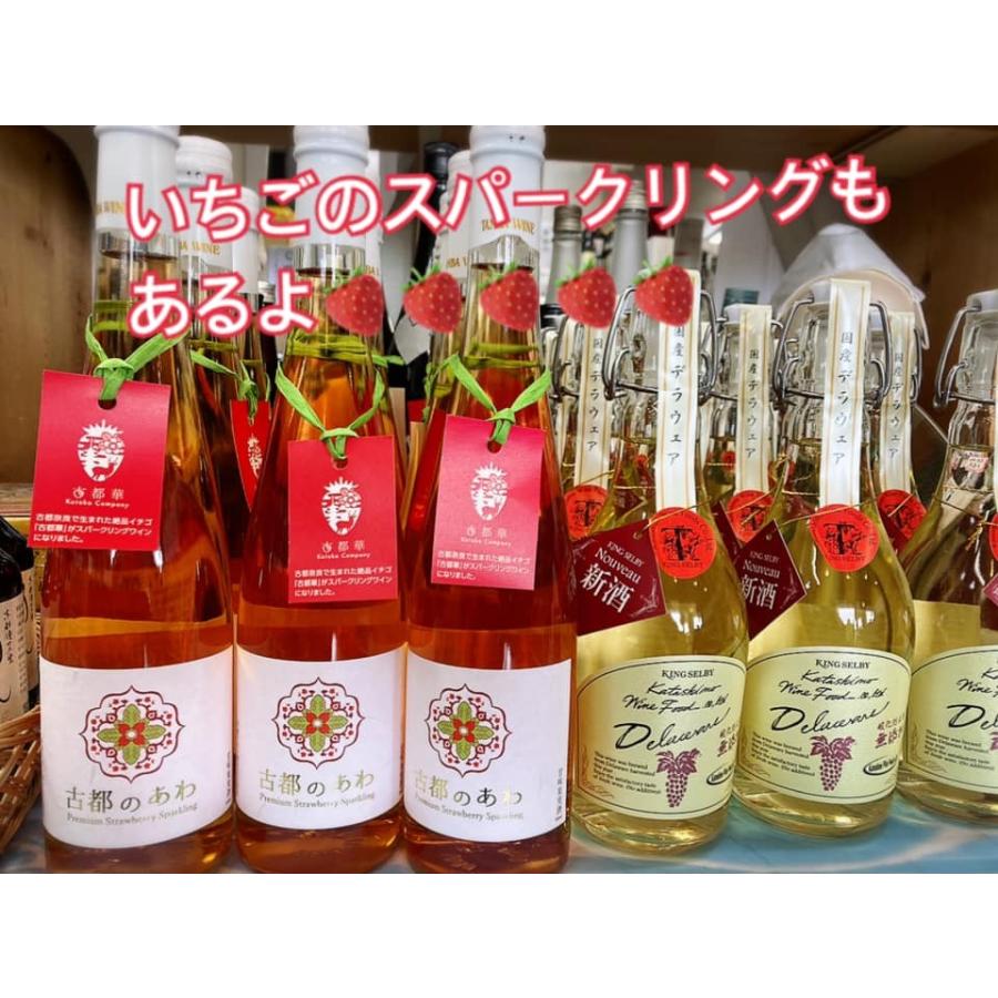 ★新品未開封★カタシモワイン赤白セット カタシモワイナリー ギフトセット〉柏原醸造ワイン 赤白 720ml×2本