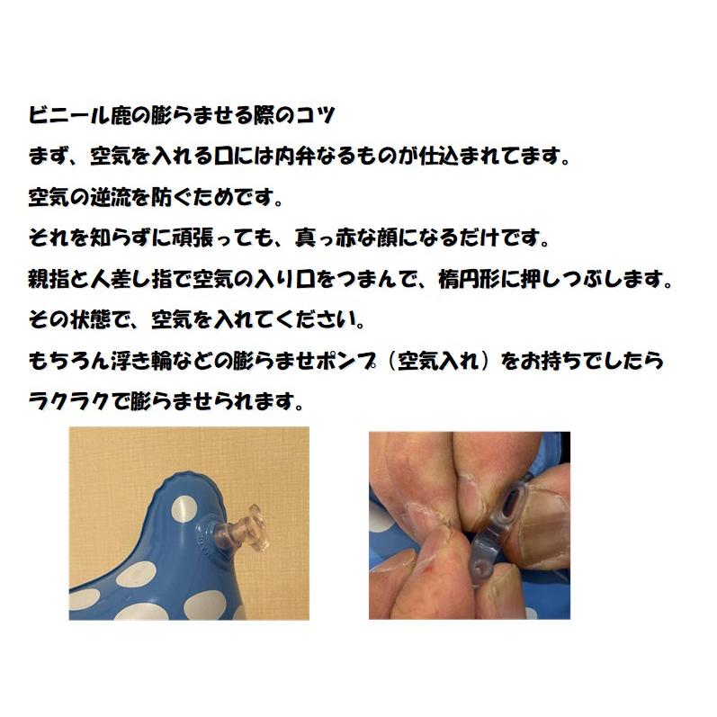 レターパック不可】【奈良みやげ】コロコロ引っ張ってお散歩に連れてっ