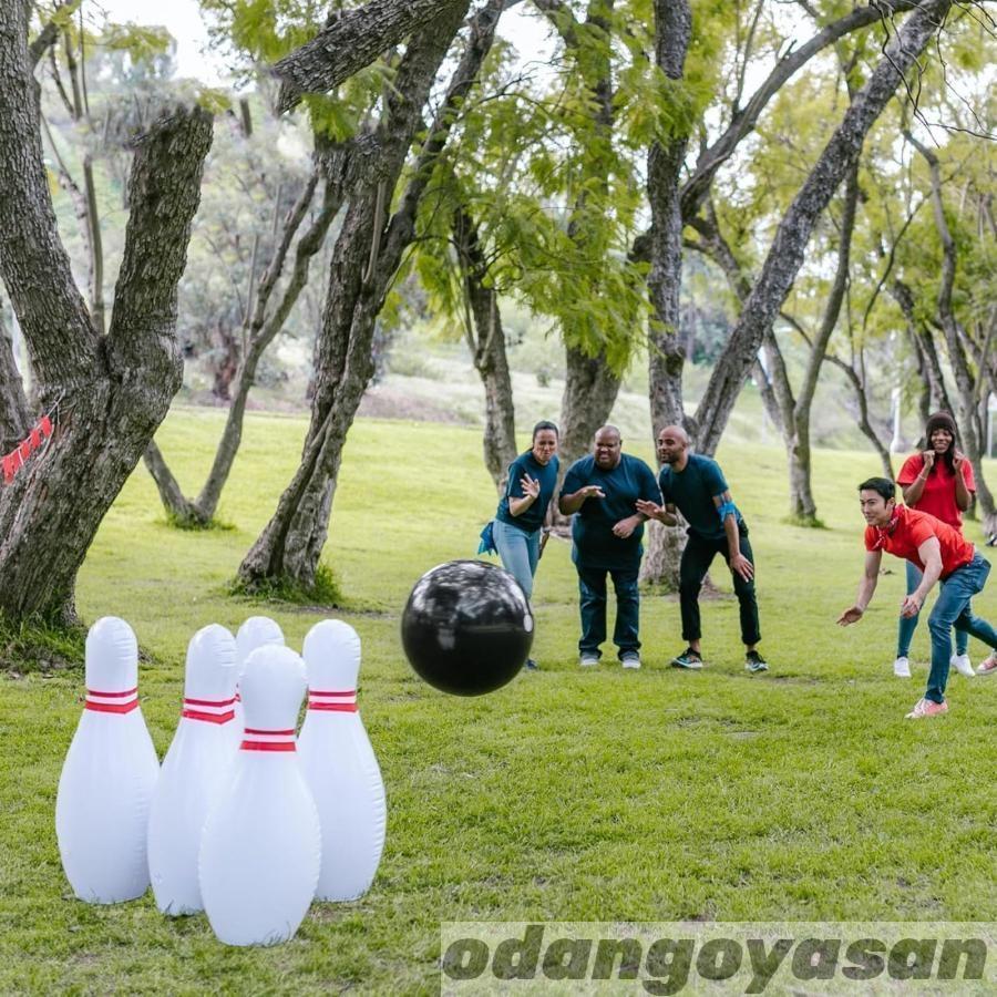 ボウリング 玩具 ボウリングピンボールセット キッズスポーツ 知育玩具