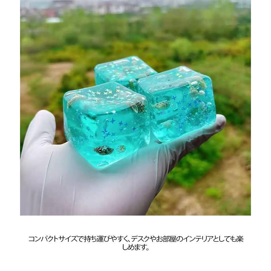 【貴重】水感クリア　スクイーズセット 水感スクイーズ 2個セット 海洋シリーズ キューブスクイーズト ヒトデ