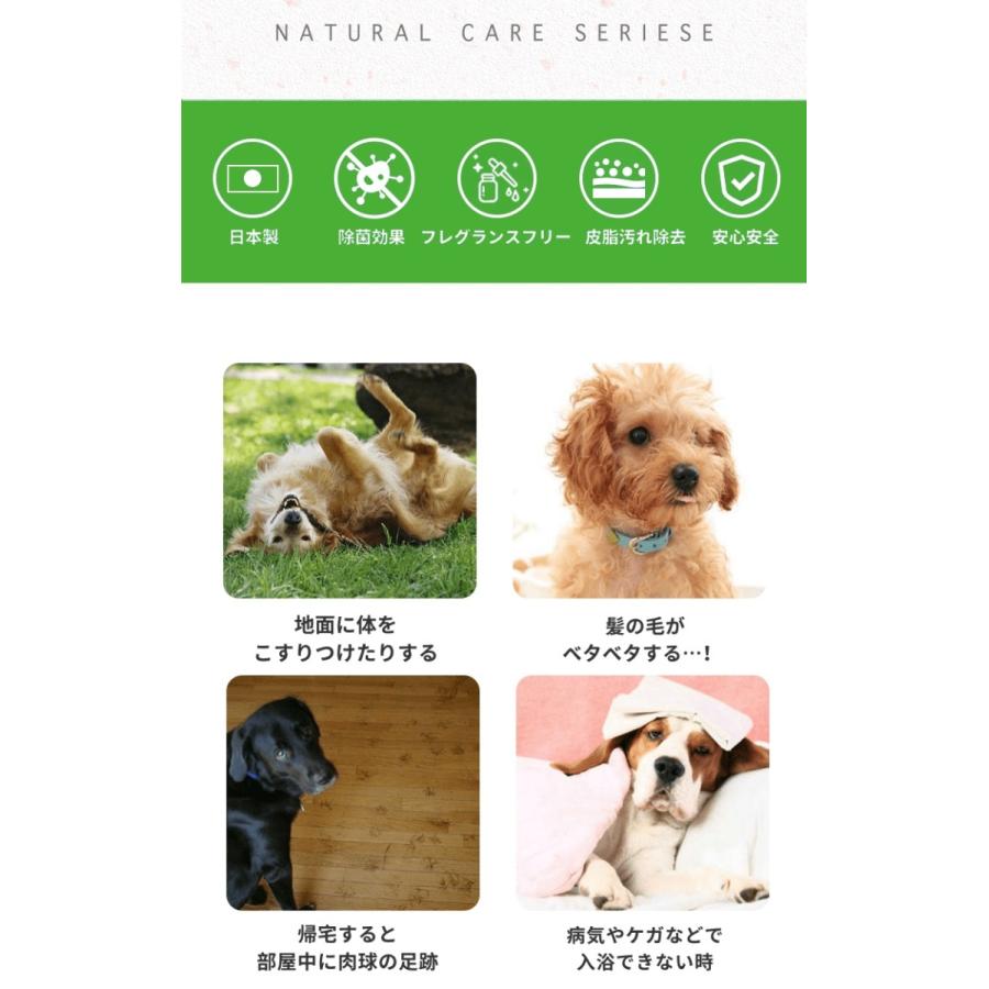 配送員設置送料無料 ナチュラル重曹 洗わないシャンプー本体1本 詰替10個セット 400ml 犬用 詰替用 アイテム合同 ペット用品 フード 犬用品 グッズ 犬用シャンプー 信頼 Gogo123 Com Tw