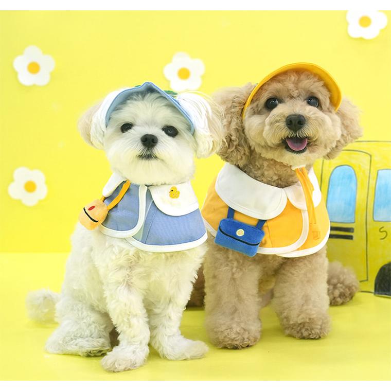 kindergarden cape cap set 犬用 帽子 幼稚園 ケープ バンダナ